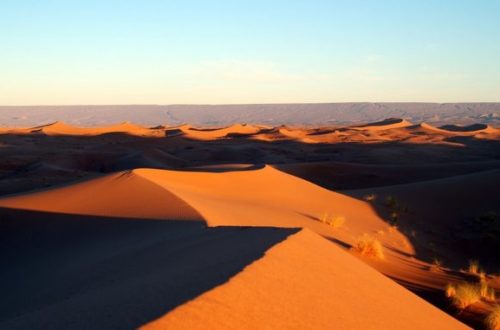 Užite si púšť v Afrike! Avšak nezabúdajte na bezpečnosť