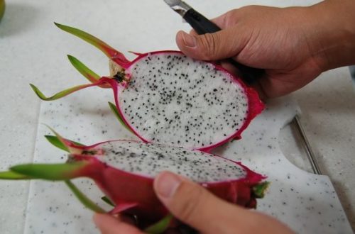 Dragon fruit ako najviac fotogenické ovocie. Je naviac aj zdravé